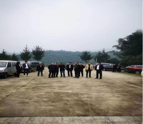 091847668.png image.png